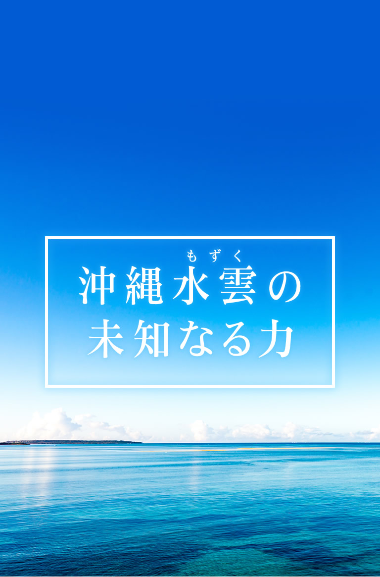 沖縄海雲（もずく）の未知なる力